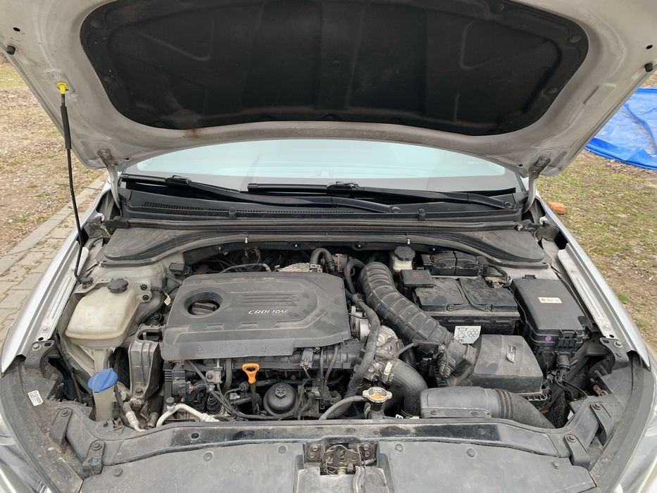 Hyundai Elantra / Avante