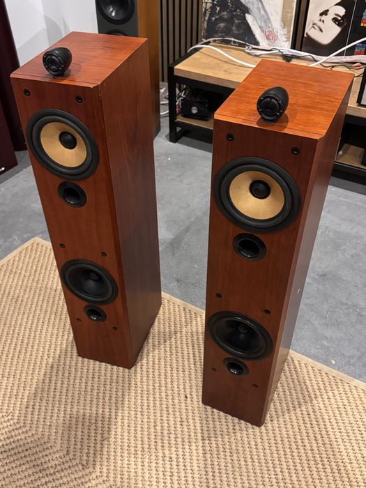 Bowers Wilkins b&w model p6 kolumny podlogowe uszkodzone