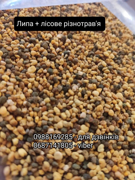 Бджолиний  пилок