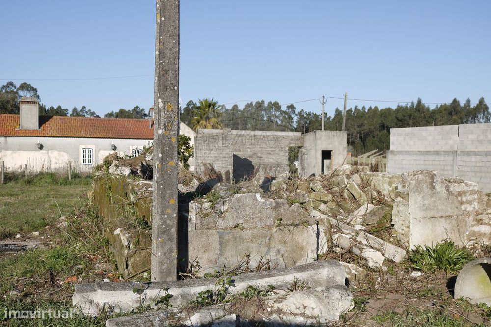 Terreno  para venda — Tocha, Coimbra