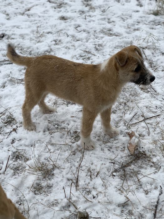 Хлопчик шукає родину