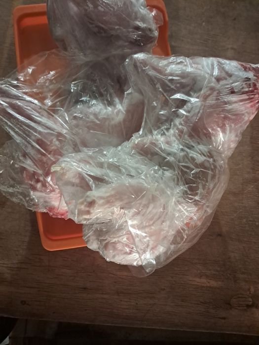 Tuszka z królika zamrożona