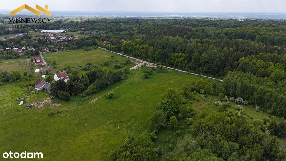 Działka z pozwoleniem na budowę, 3184 m², Jagodnik - View 2