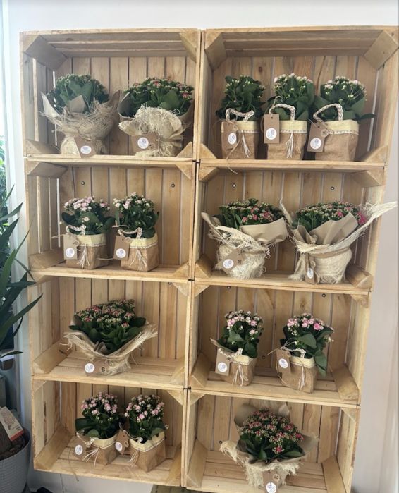 Nowe drewniane skrzynki, meble, półki, do domu, ogrodu, skrzynka