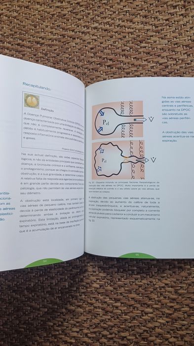 O Médico de família e a avaliação da função respiratória