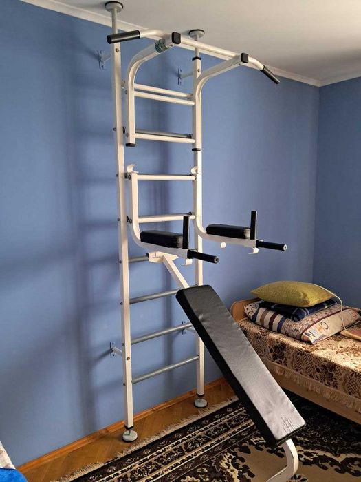 Металева шведська стінка