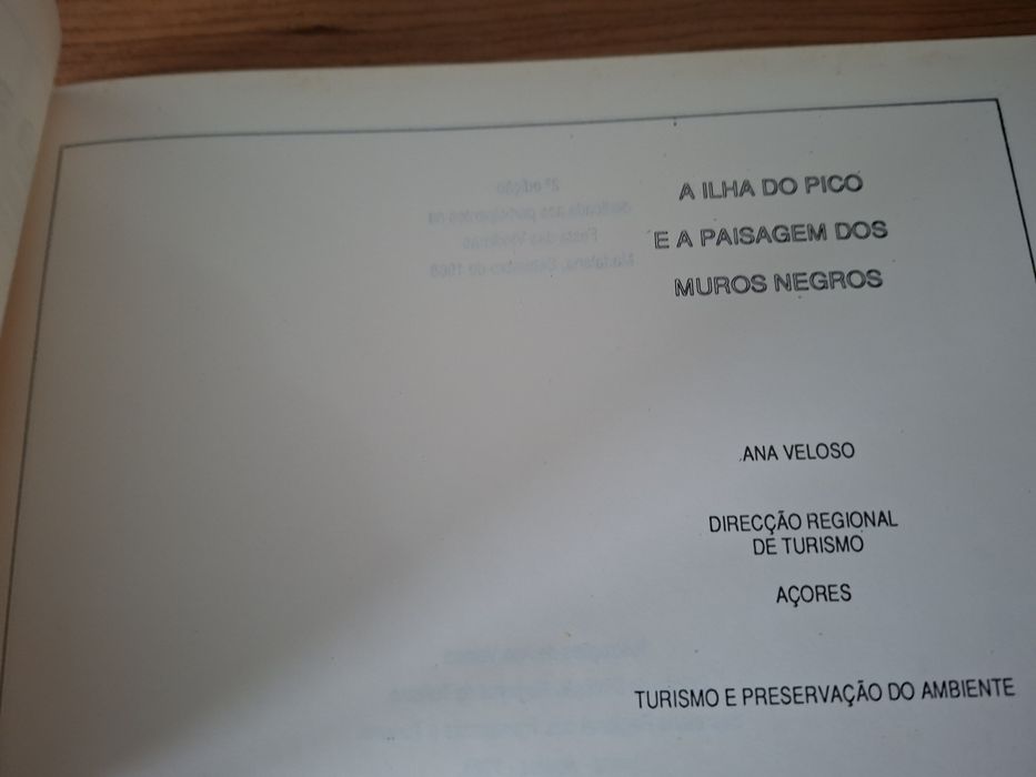 A Ilha do Pico e a Paisagem dos Muros Negros