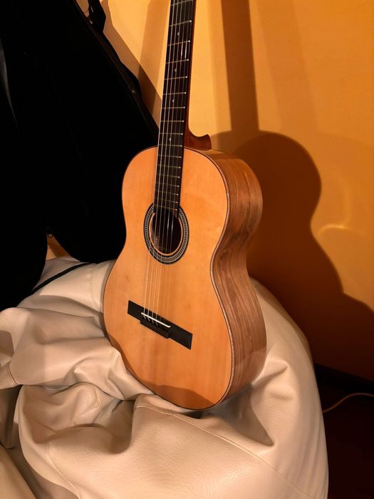 Guitarra Acústica Artimúsica VF50S - Eletrificada por mim e Nova