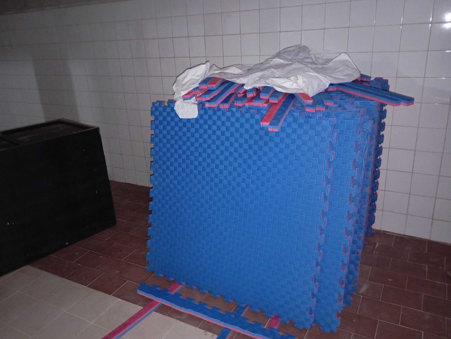 Placa de tatami de 2,5cm Novo