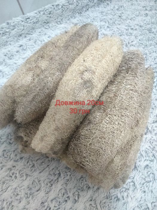 Люфа - природня мочалка