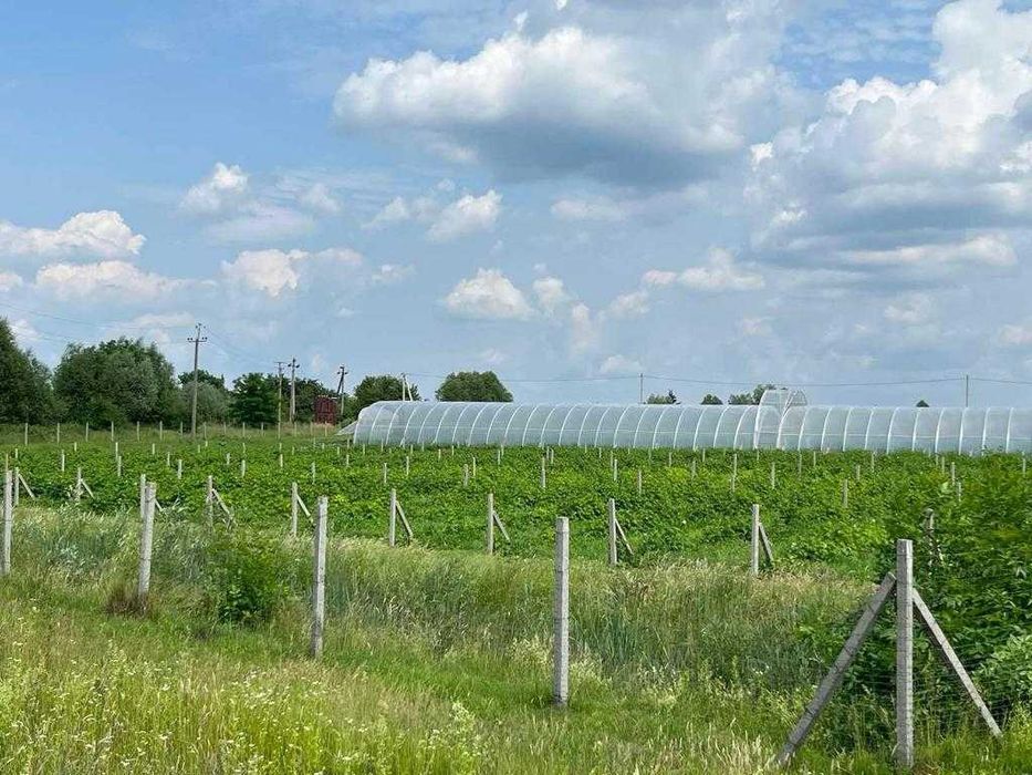 господарський комплекс 9,7 га, ягідно-овочеве підприєство, Львів