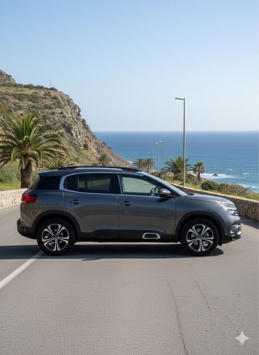 Motorista particular