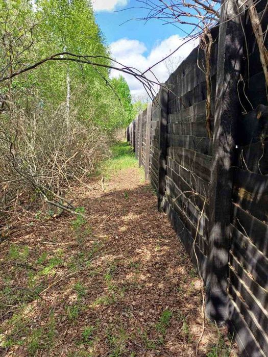 Ділянки 15 соток із забудовою — с. Бабинці, поруч із лісом та каналом!