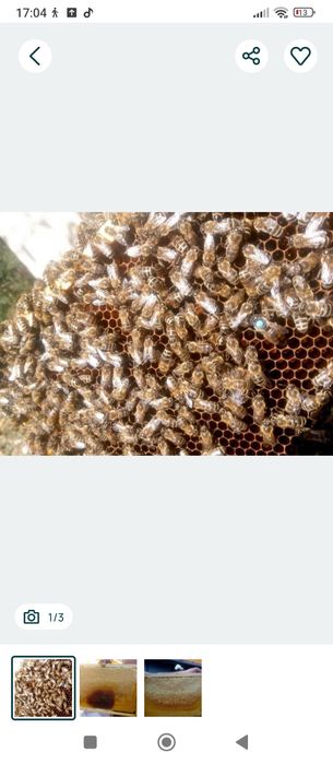 Продам бджолопакети 1800