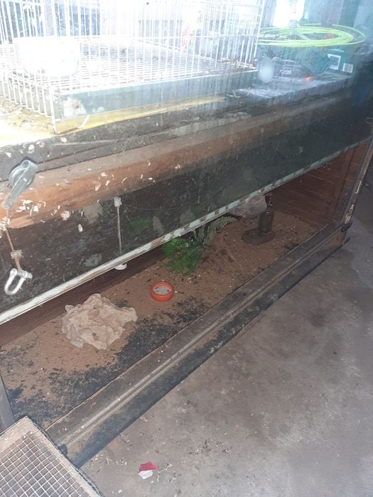 Terrario com cerca de 2m