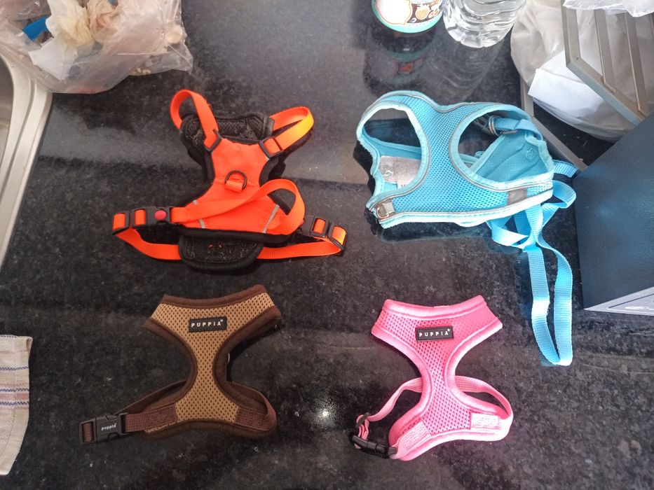 Dois arnês da marca Puppia XS, para cachorros muito pequenos.