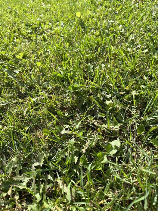 Земельна ділянка