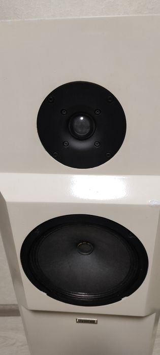 Акустика лабиринт ZVOOLAB 2*70 ВТ