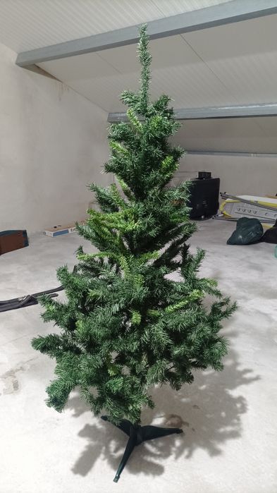 Pinheiro de Natal, 150 cm