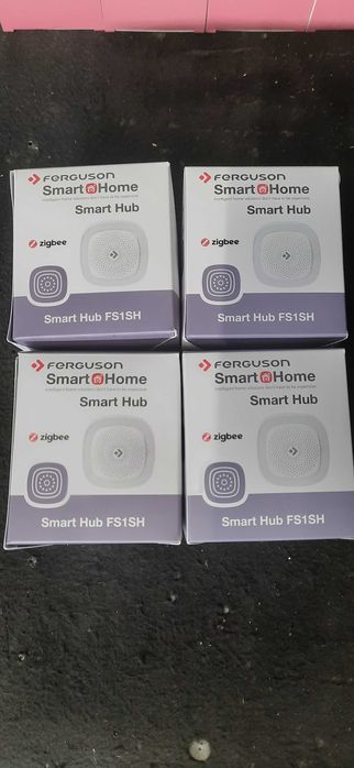 Centrala Smart Hub Ferguson FS1SH ZigBee