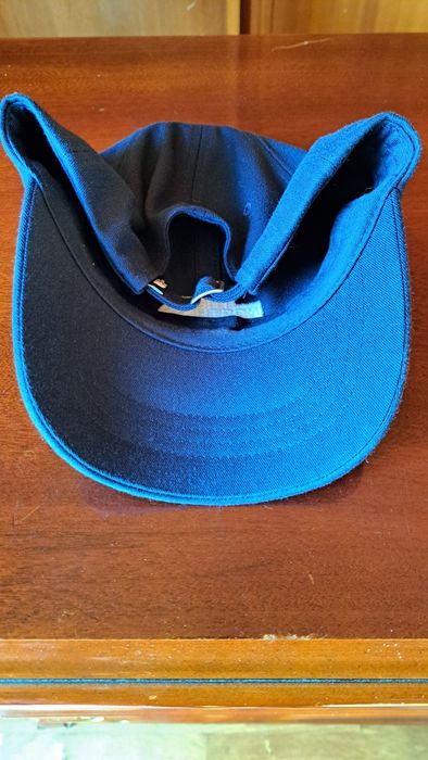 The North Face Blue Cap427691680098560002