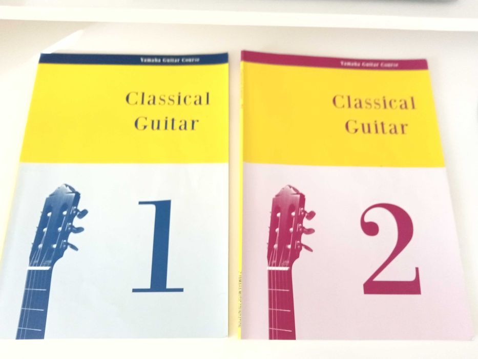 Guitarra da APC com saco