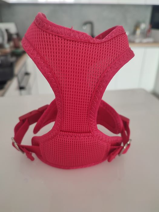 Собачий ошийник повідок Trixie xs-s