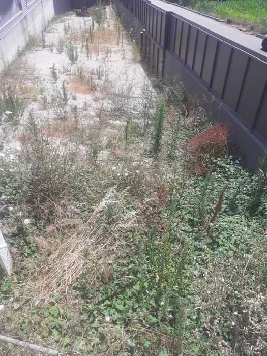 Trabalhos de bloco Jardineiro pladur limpeza