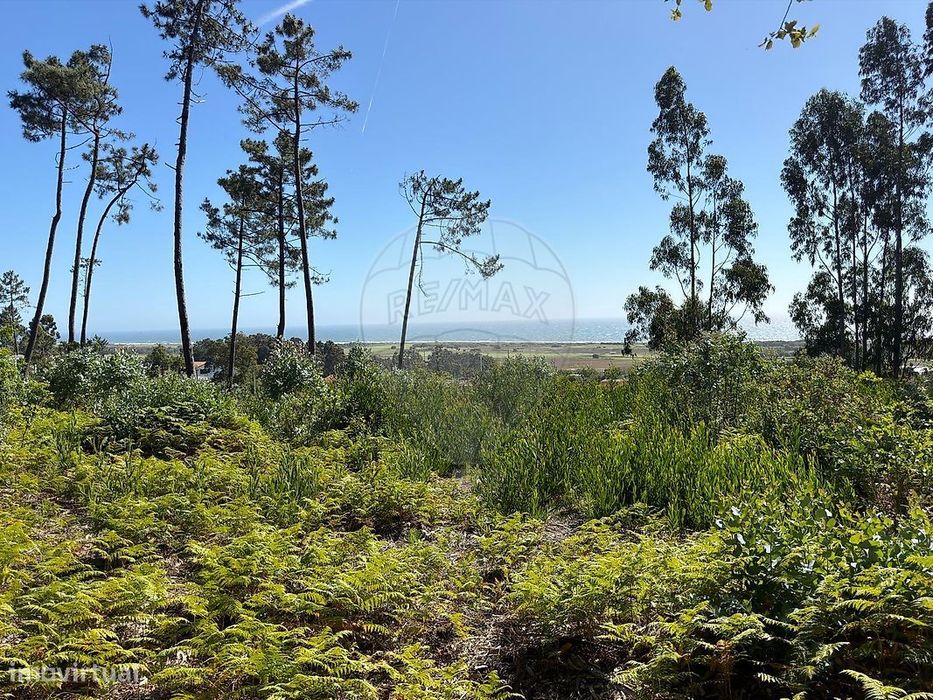 Terreno  para venda