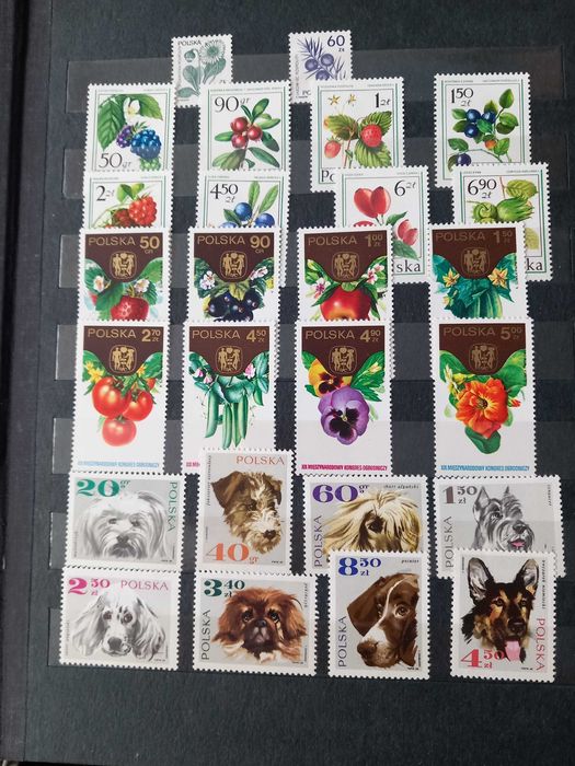 klaser ze znaczkami czyste