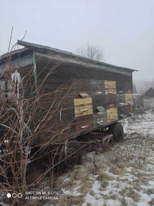 Продам 2 павільйони для бджіл на колесах на 27 сімей кожен