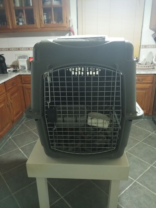 Transportadora portátil para cães