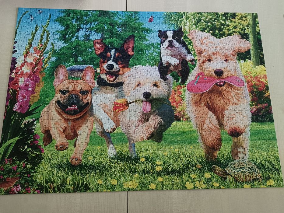 Puzzle 1000 Trefl Psy