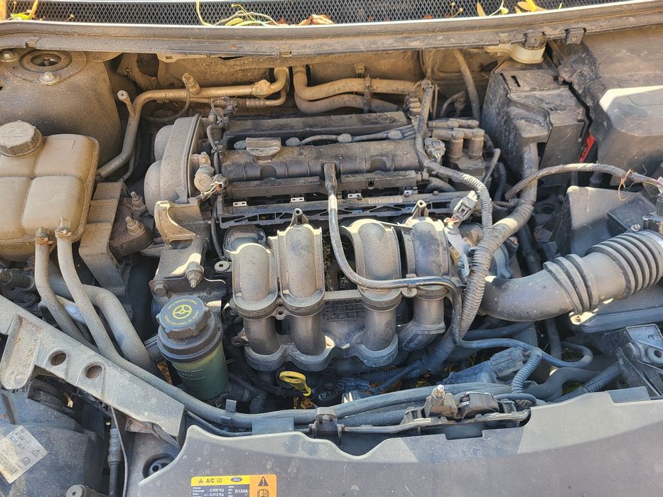Silnik Ford 1.6 16v Focus