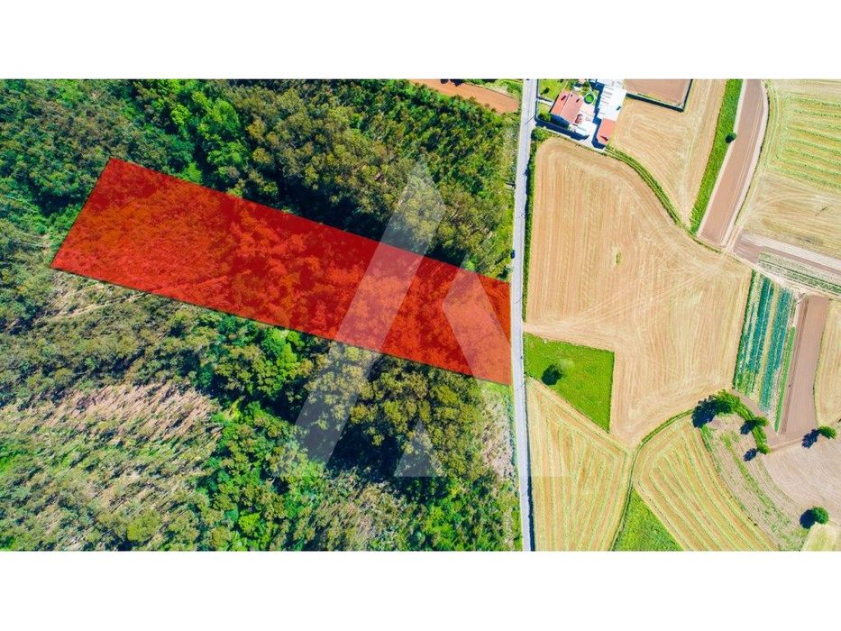 Terreno para construção entre Ovar e Santa Maria da Feira. — Ovar, São João, Arada E São Vicente De Pereira Jusã, Aveiro