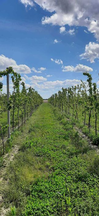 Плити перекриття, залізобетонні вироби  (низька ціна, висока якість)