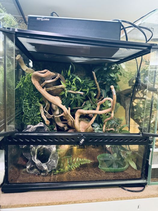 Терраріум та обладнання для хамелеона, гекона, ігуани, пітона, полоза