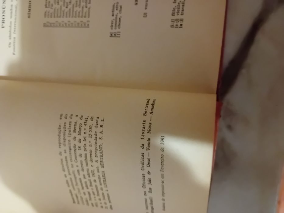 Dicionário Língua Portuguesa