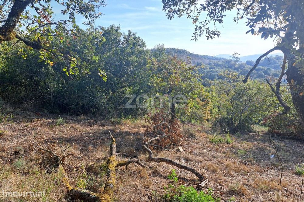 Terreno Urbanizável a 5 min. da Batalha