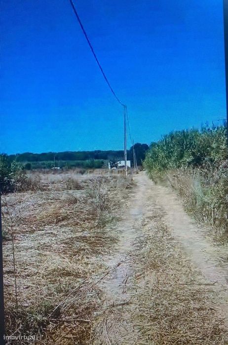 Terreno Rústico no Ludo, Almancil – 8.400 m² Próximo da Quinta do Lago