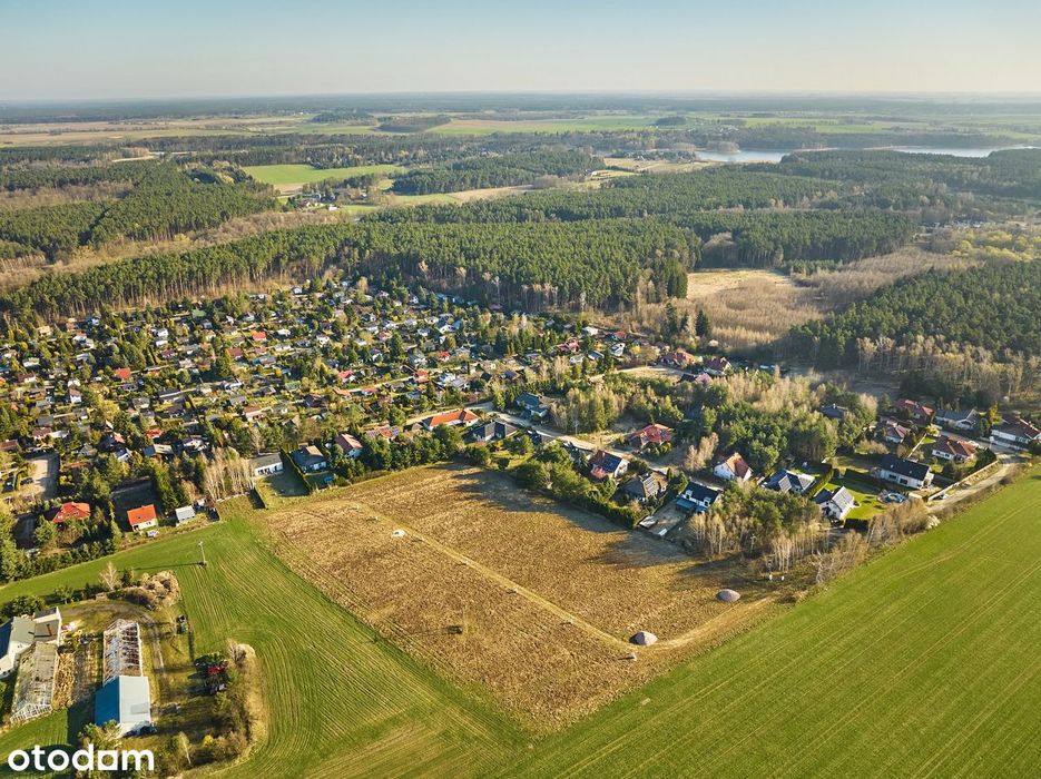 Działki w zielonej okolicy – spokój blisko Poznania