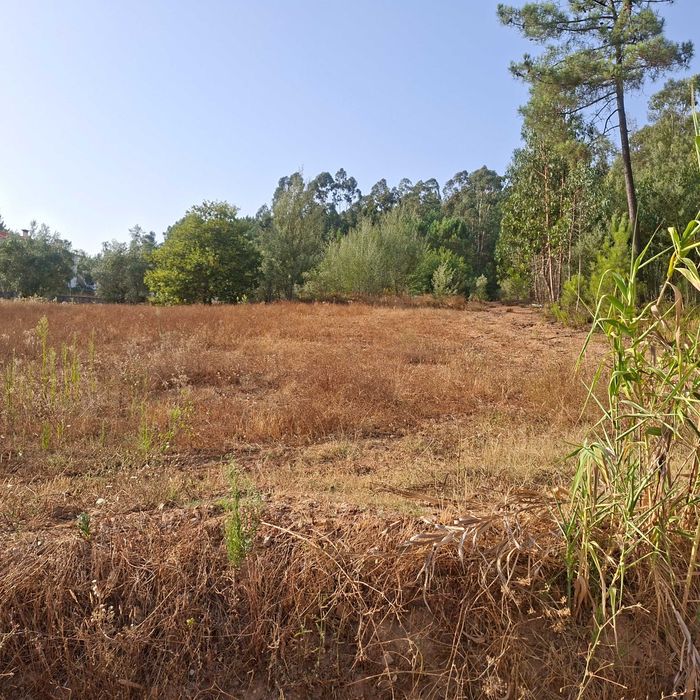 Vendo terreno em Vale Marelo com área aproximada de 9000m2"