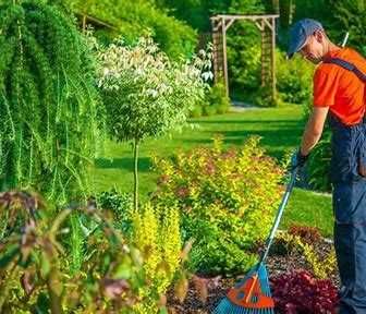 Reparação e manutenção de piscinas