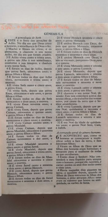 Bíblia Sagrada - edição comemorativa