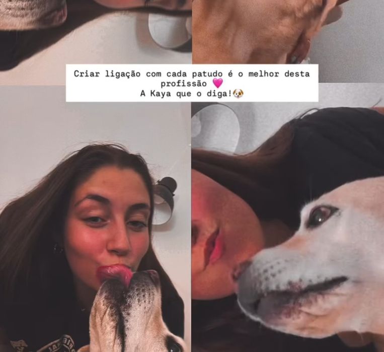 Petsitting na zona de Cascais