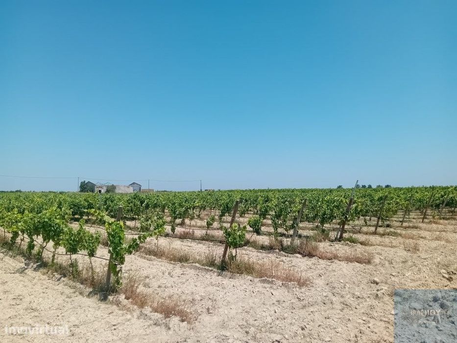 Terreno em Pegões