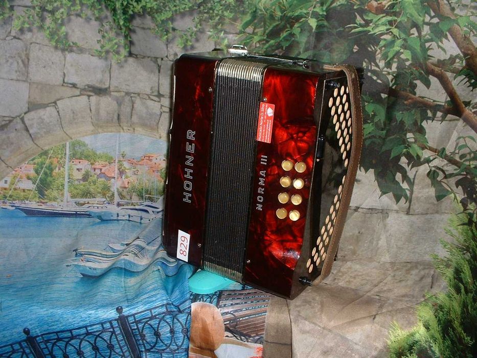 Concertina a venda n.829