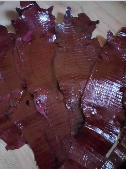 Кожа крокодила длина 70--80см