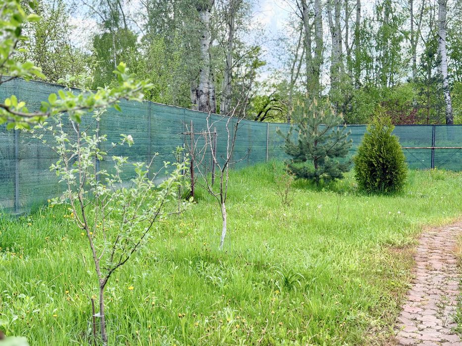 Дача Олдиш на березі річки
