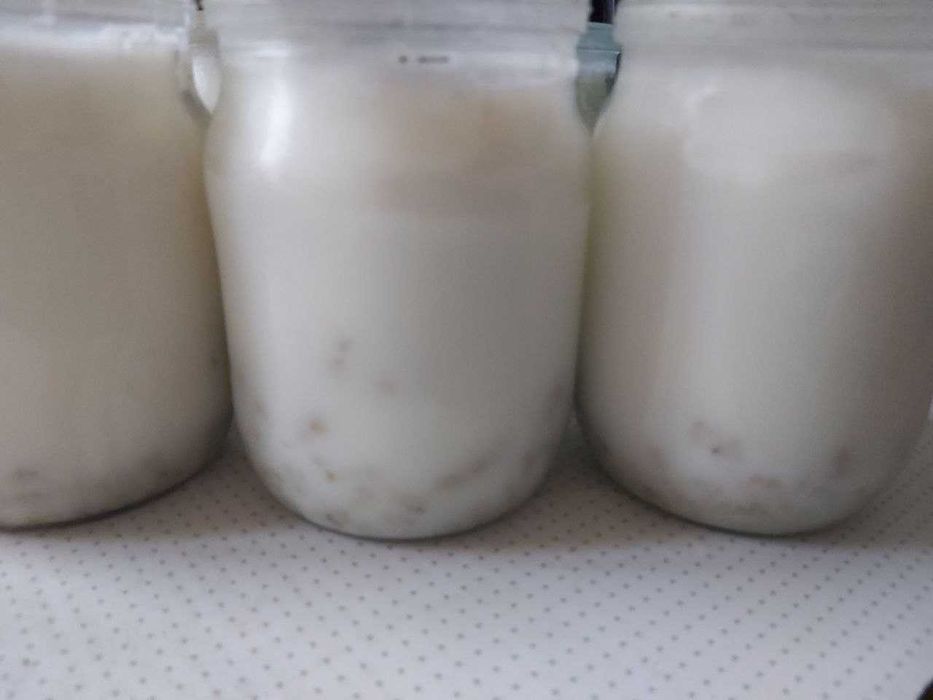 Смалец со шкварками свежий, смалець зі шкварками 2024